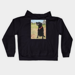 Jet the black Labrador on Berry head Brixham Devon Kids Hoodie